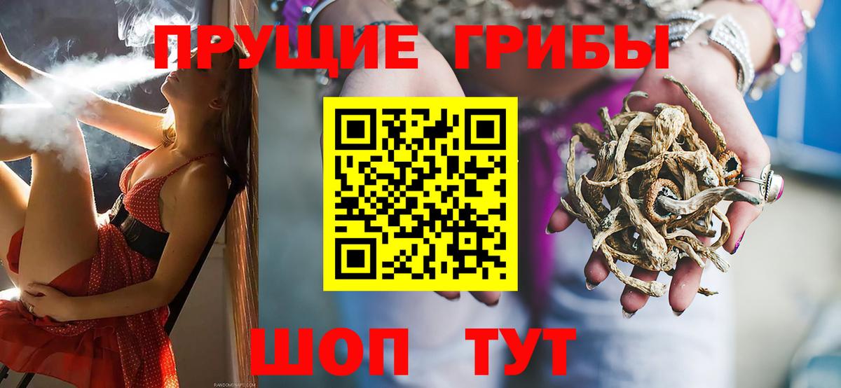 Галлюциногенные грибы Psilocybe Сызрань